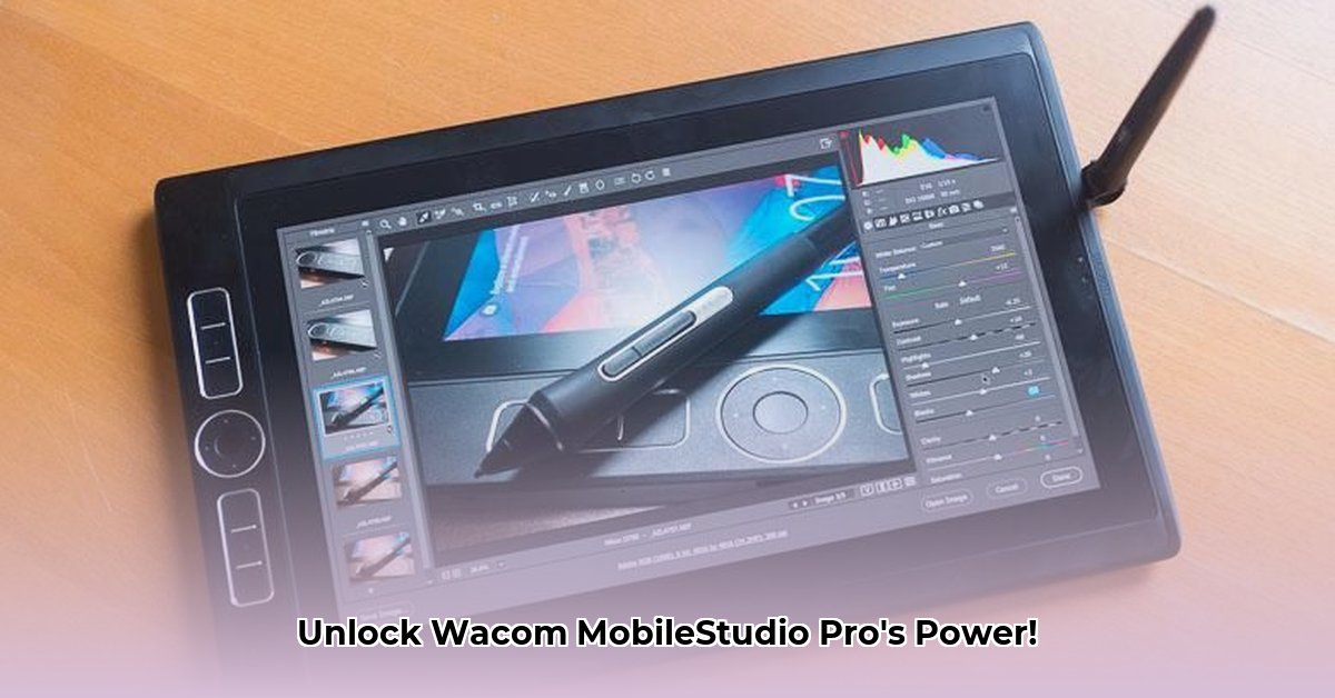 mobile-studio-pro